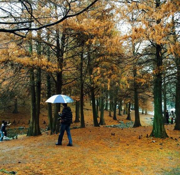 خانه 2 خوابه, Park 61