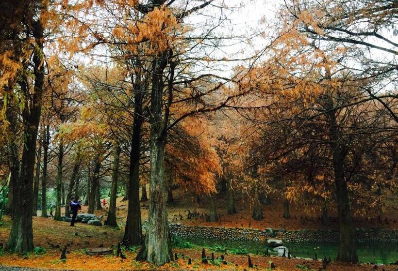 خانه 2 خوابه, Park 61
