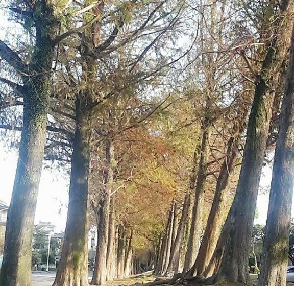 خانه 2 خوابه, Park 61