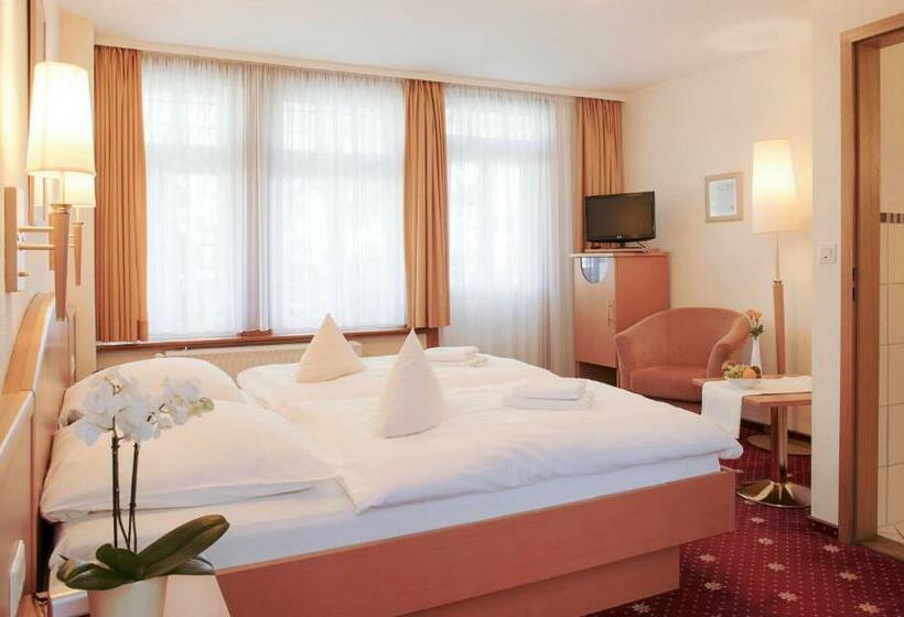 Номер Стандарт, Ferien  Und Wellnesshotel Waldfrieden