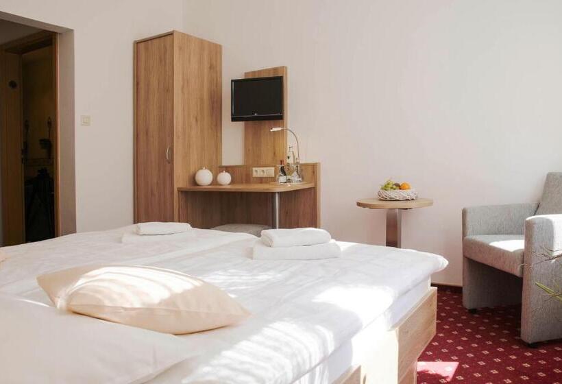 Номер Стандарт, Ferien  Und Wellnesshotel Waldfrieden