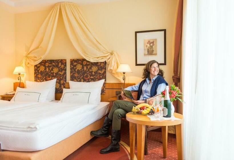 Номер Стандарт Индивидуальный с Видом, Panorama