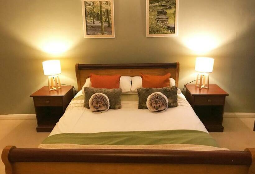 Номер Deluxe Кровать Кинг, Beldon House