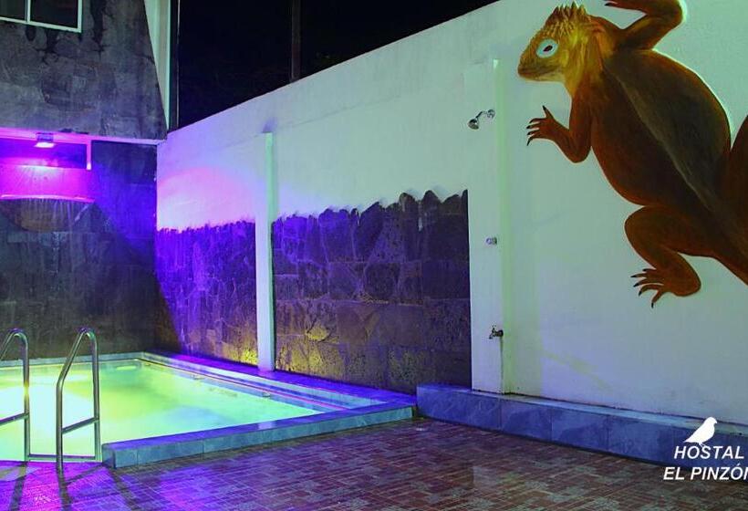 اتاق سوپریور خانوادگی, Hostal El Pinzón