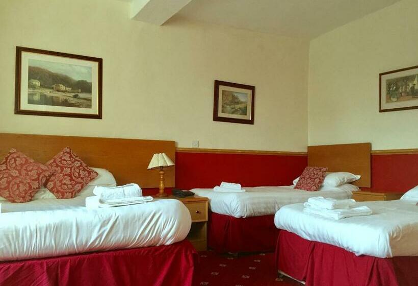 Семейный Номер, Plas Coch Hotel Ltd