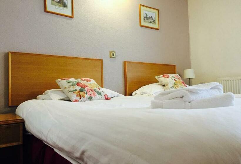 Номер Стандарт, Plas Coch Hotel Ltd