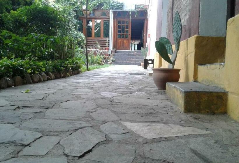 4인용 스탠다드 룸, Andamundos Hostel