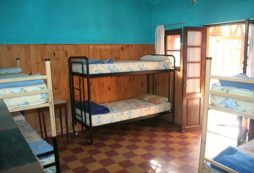 공동 객실, Andamundos Hostel