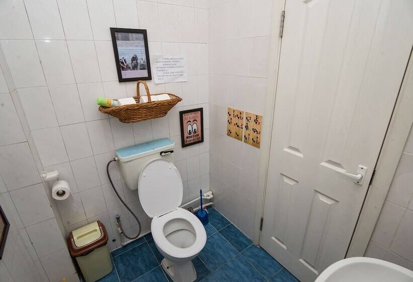 تختخواب در اتاق مشترک, Art Hostel