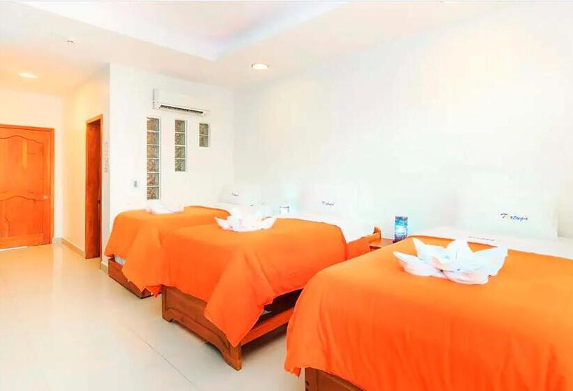 اتاق سوپریور چهار تخته, Galapagos Tortuga Bay