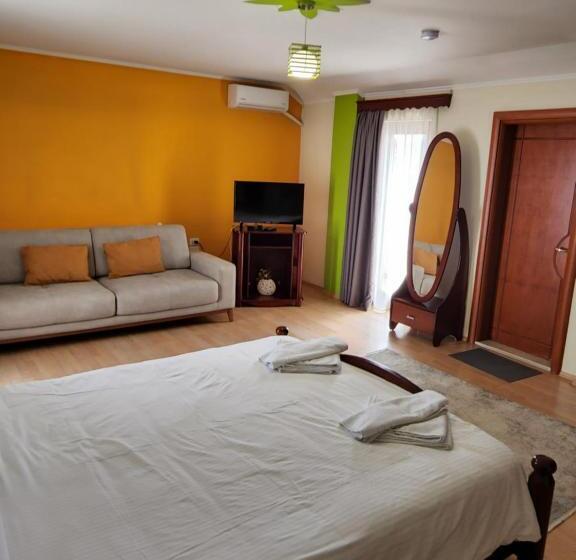 标准间带湖景, Guesthouse Bimbli