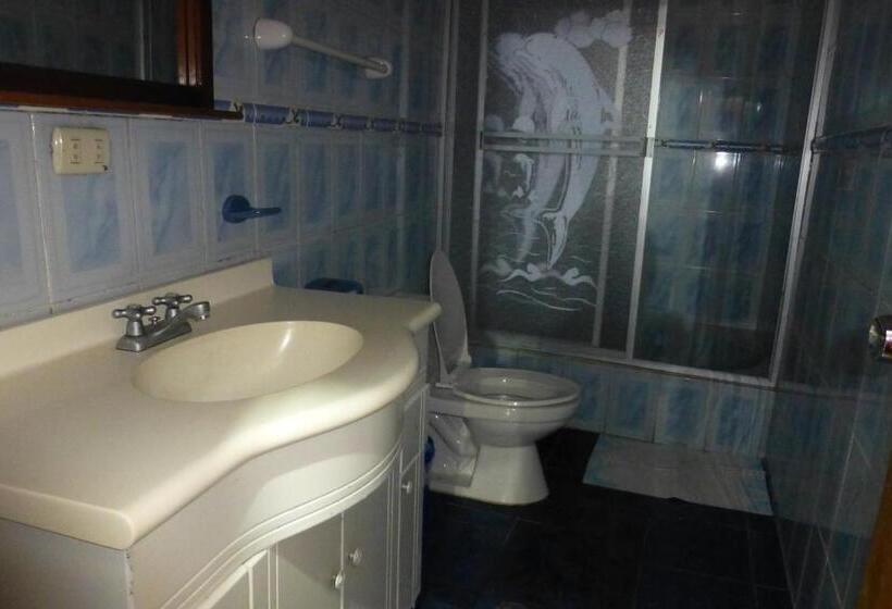 Bed in Shared Room, Hostal Nomada