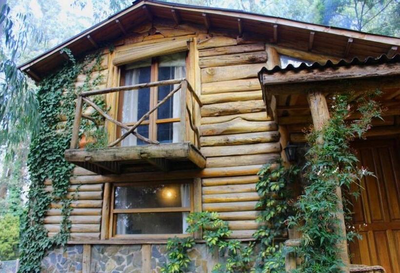 Хижина, Cabañas Las Moras