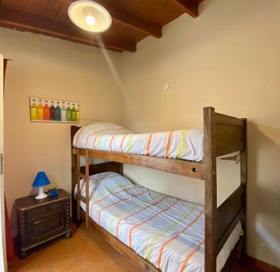 اتاق اکونومی, Open House Hostel