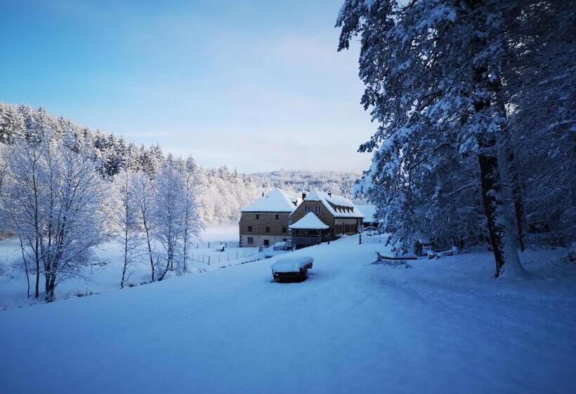 Номер Стандарт, Maison D Hôtes De Charme   Ancien Moulin En Pleine Nature   La Paulusmühle