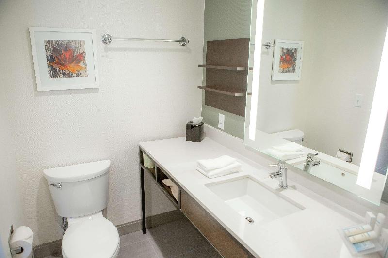 스탠다드 룸 킹사이즈 침대, La Quinta By Wyndham Williams Grand Canyon Area