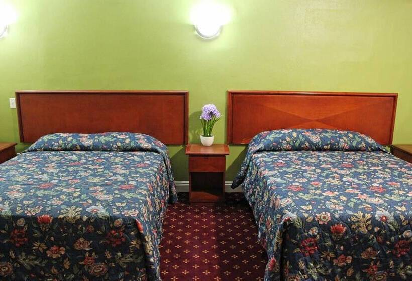 스탠다드 룸, Royla Motel