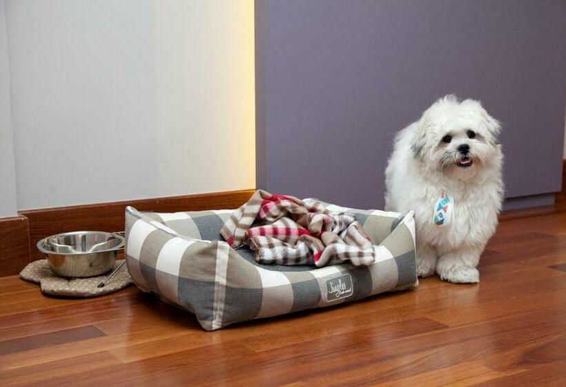 غرفة قياسية, NH Curitiba The Five