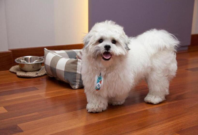 غرفة قياسية ثلاثية, NH Curitiba The Five