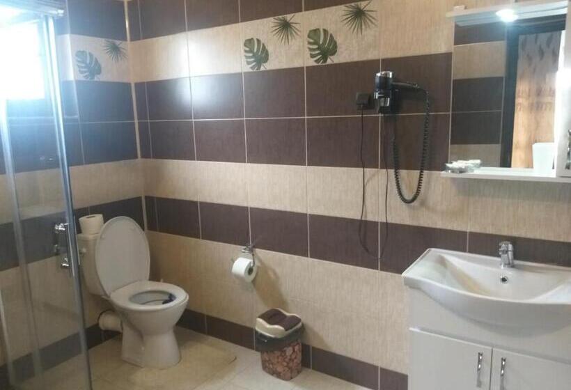 اتاق لوکس, Pensiunea Casa Nușa