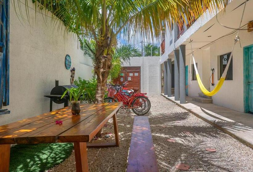 Kertre Néző Standard Stúdió, Casa Toloc Tulum