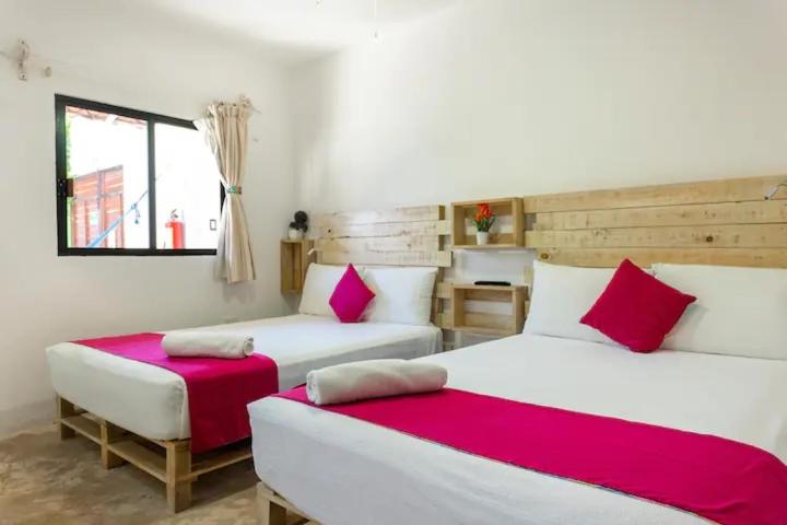 Kertre Néző Standard Stúdió, Casa Toloc Tulum