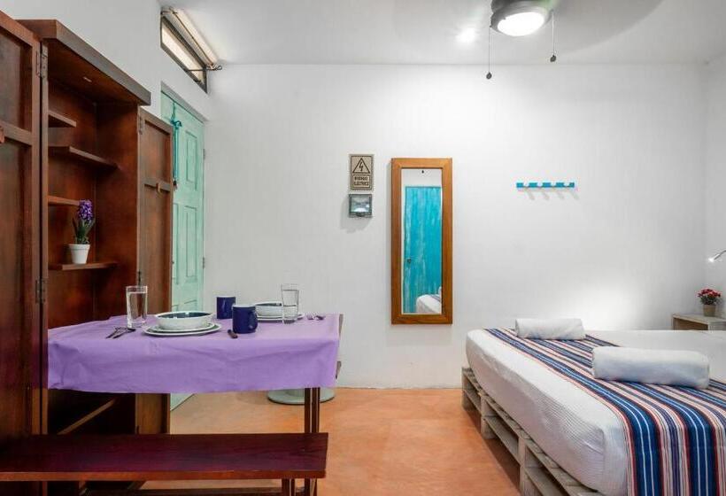 Superior Stúdió Szoba, Casa Toloc Tulum
