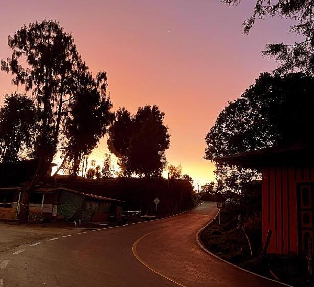 스탠다드 룸, Un Amanecer En Murillo