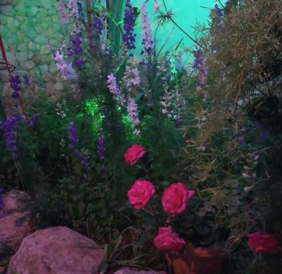 Номер Economy Индивидуальный, Mystery Garden Guest House