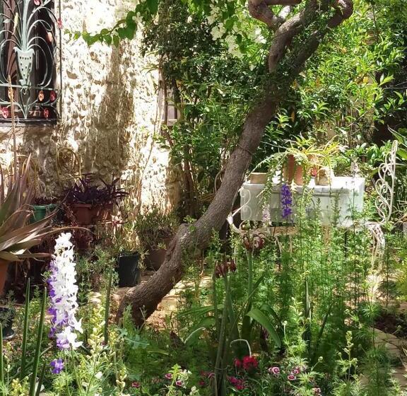 Номер Economy Индивидуальный, Mystery Garden Guest House