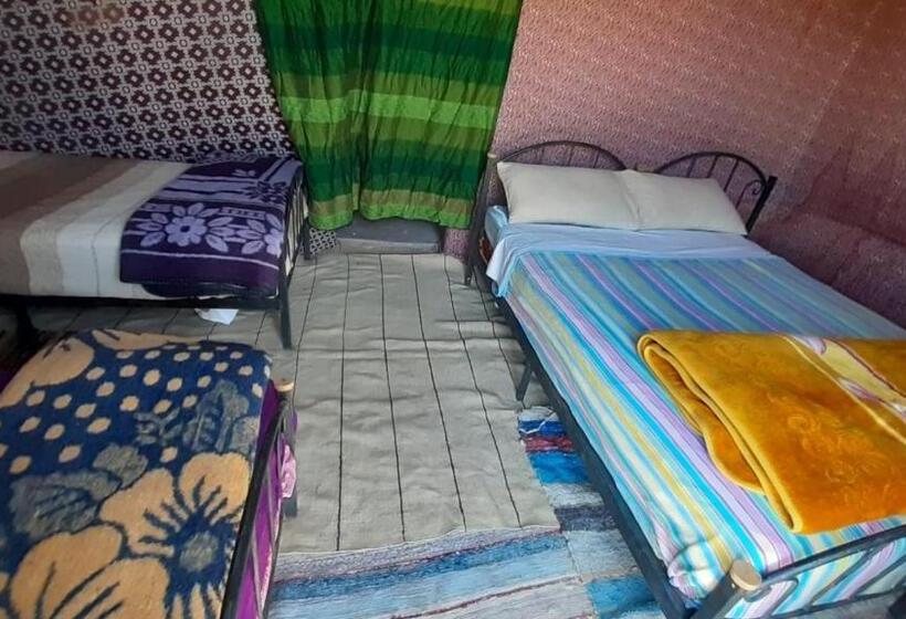 Трехместный Номер Базовый, Camp Life Nomade