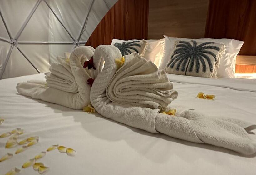 Standard Tent, Glamping @ Pebbles & Fins