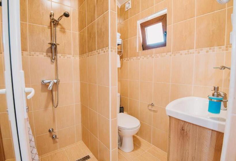 اتاق استاندارد, Pensiunea Biz Panzió