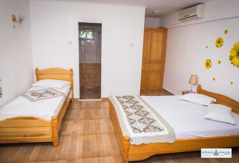 Трехместный Номер Стандарт Вид на Бассейн, Steaua Apelor Family Resort