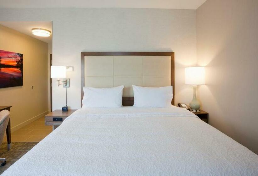 Номер Стандарт Кровать Кинг Адаптированный для Инвалидов, Hampton Inn Spicer Green Lake
