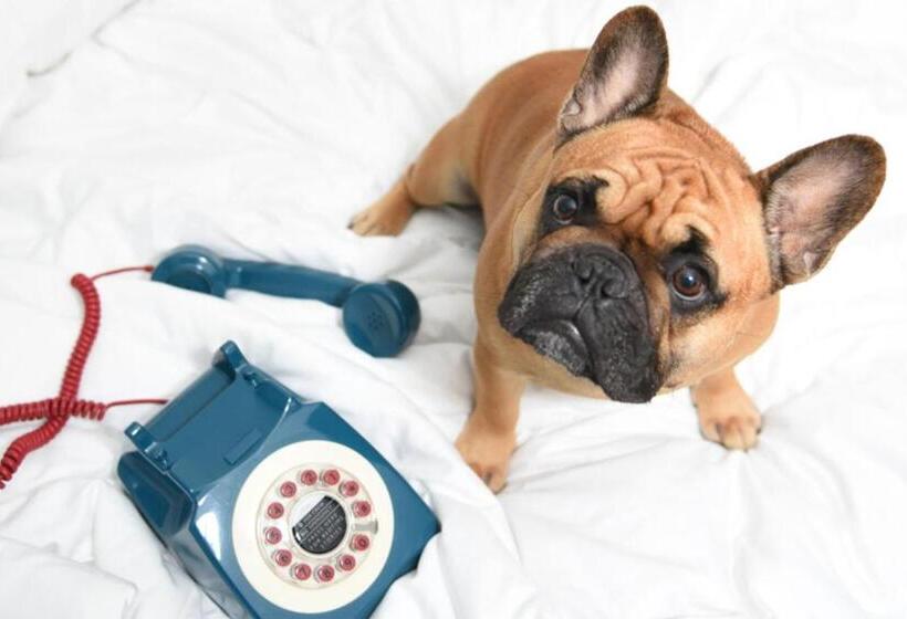 带2个双人床的标准工作室, Moxy Nyc Times Square