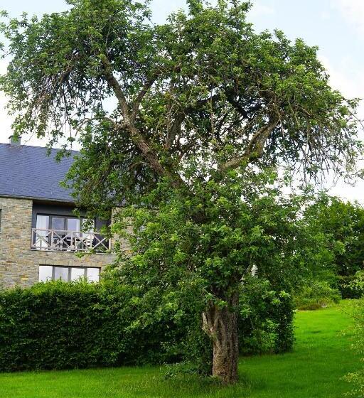 Номер Стандарт, B&b Domaine Du Vieux Chêne