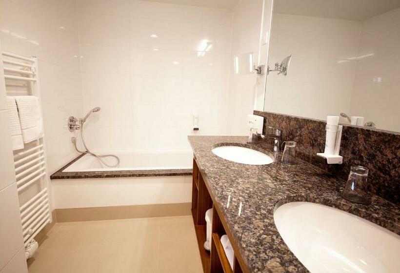 Люкс, Business Hotel Ambio Gleisdorf