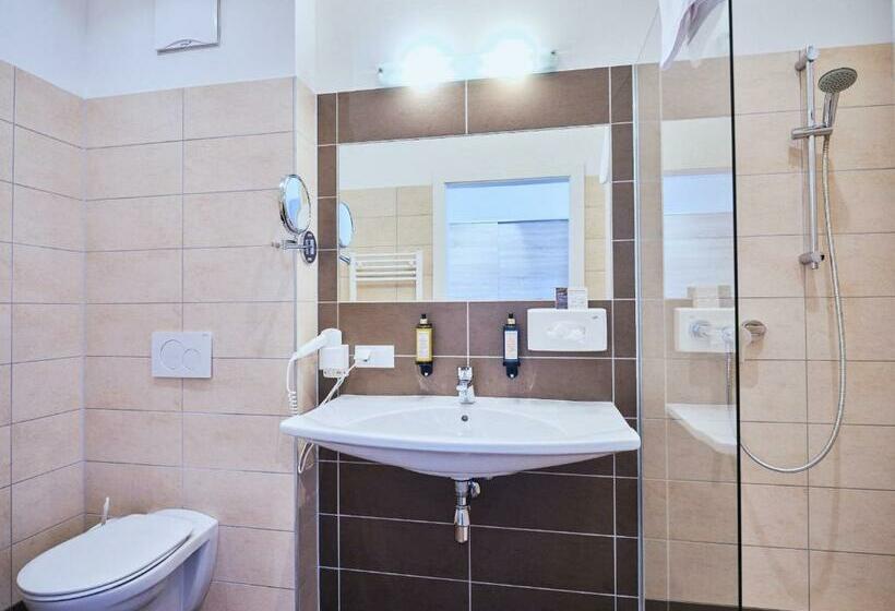 اتاق استاندارد, Planai By Alpeffect Hotels