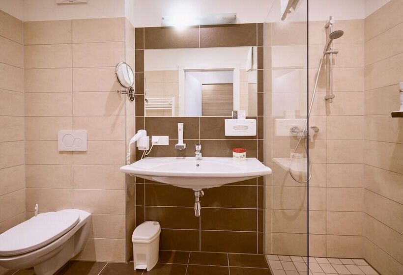 اتاق استاندارد, Planai By Alpeffect Hotels