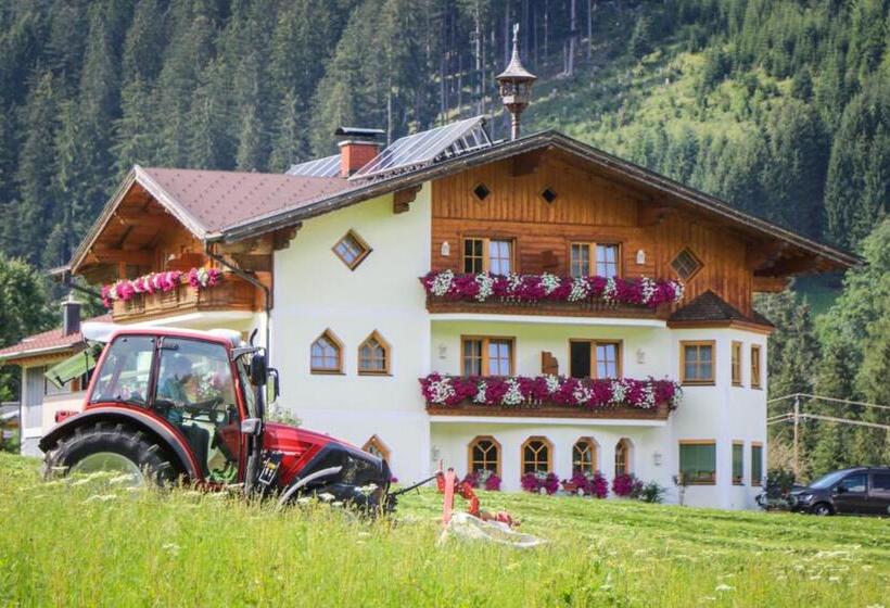 Студия Стандарт, Berghotel Lämmerhof