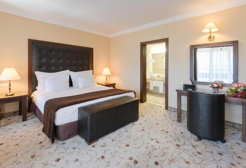 Студия Премиум, Maxi Park Hotel & Spa