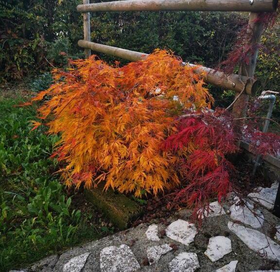 标准间, Le Betulle B&b