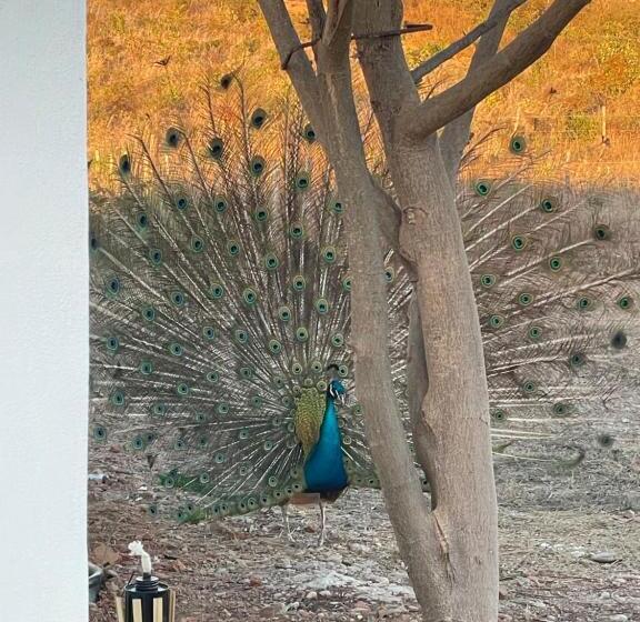 家族用バンガロー, Bungalow Gaviota C/vistas Increíbles Al Océano Pacífico