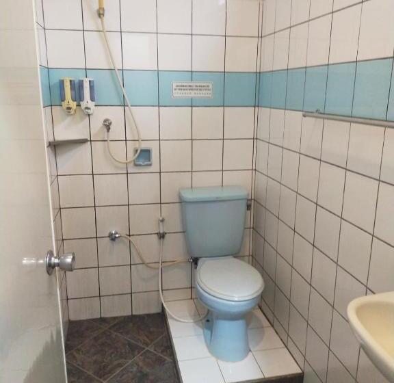 Номер Стандарт, Aneka Baru