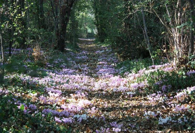 Семейный Номер, La Petite Londe