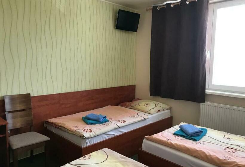 غرفة قياسية ثلاثية, Hokejka