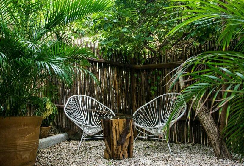 Standardrum, El Alquimista Yoga Spa