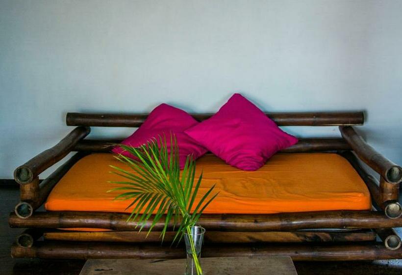 Standardrum, El Alquimista Yoga Spa