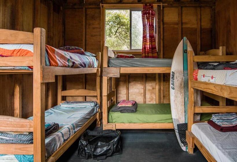 스탠다드 트리픔 룸 공동욕실, Compay Hostel La Pedrera